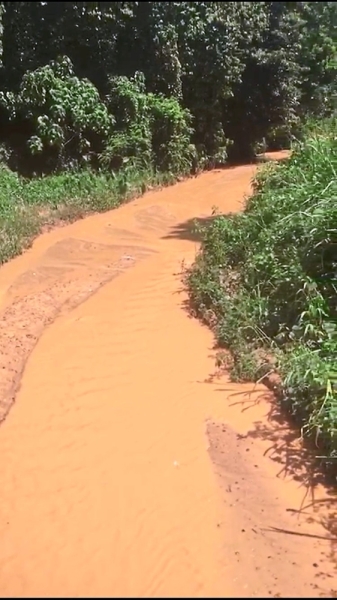 One of the main causes of siltation and sedimentation was land clearing at a tributary of Gombak river, Sungai Semampus.