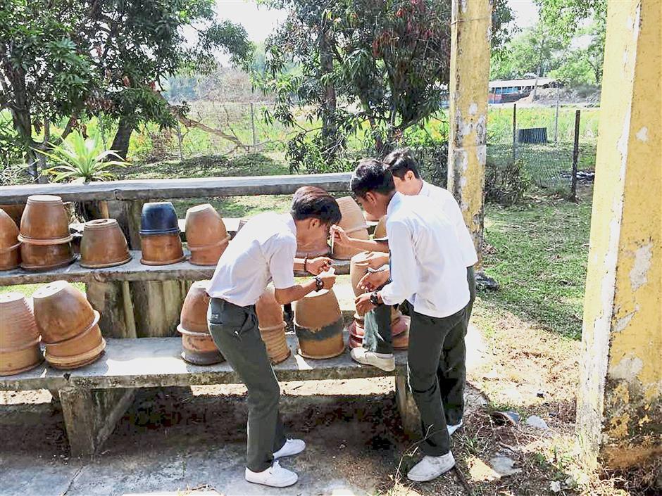 (Above and below) Students at various schools in Klang are being taught to identify potential breeding sites of Aedes mosquitoes, such as flower pots, and to eliminate them.