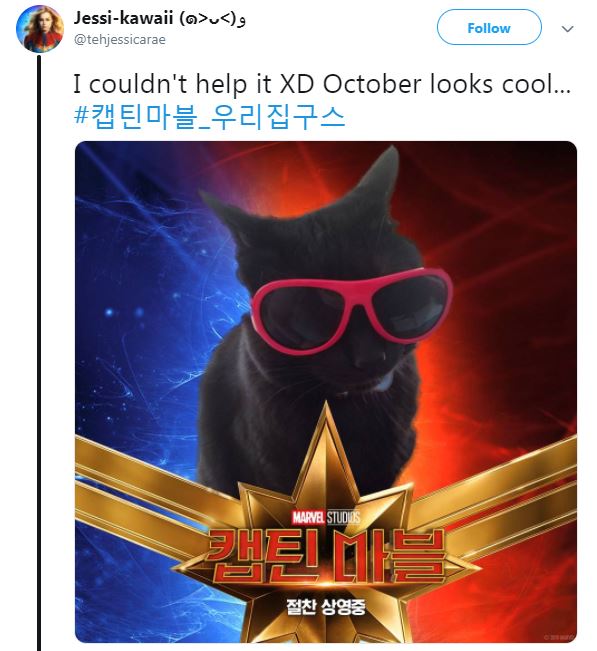 Captain Marvels Cat Starts New Meme Trend And Its Paw - 