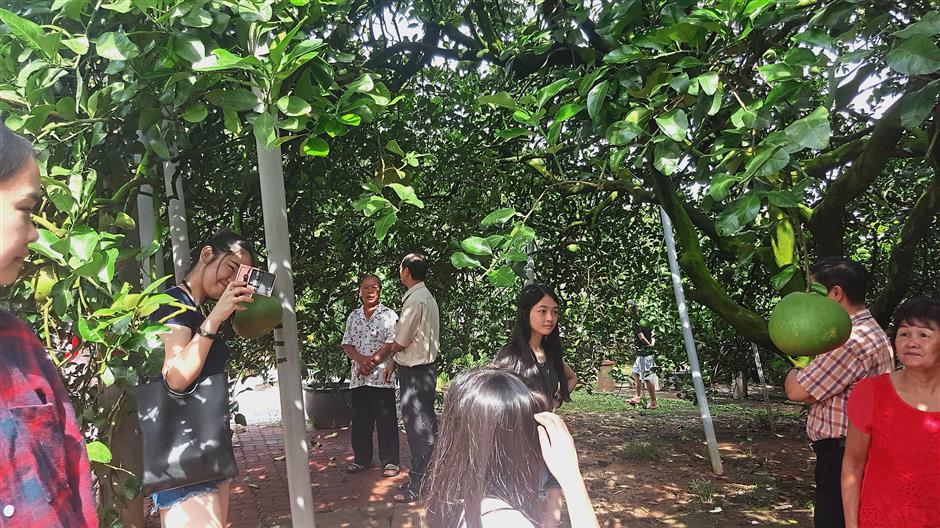 Chang (fourth from right) and Meng Wai at a pomelo farm near Kampung Baru Tambun in Tambun surrounded by tourists.