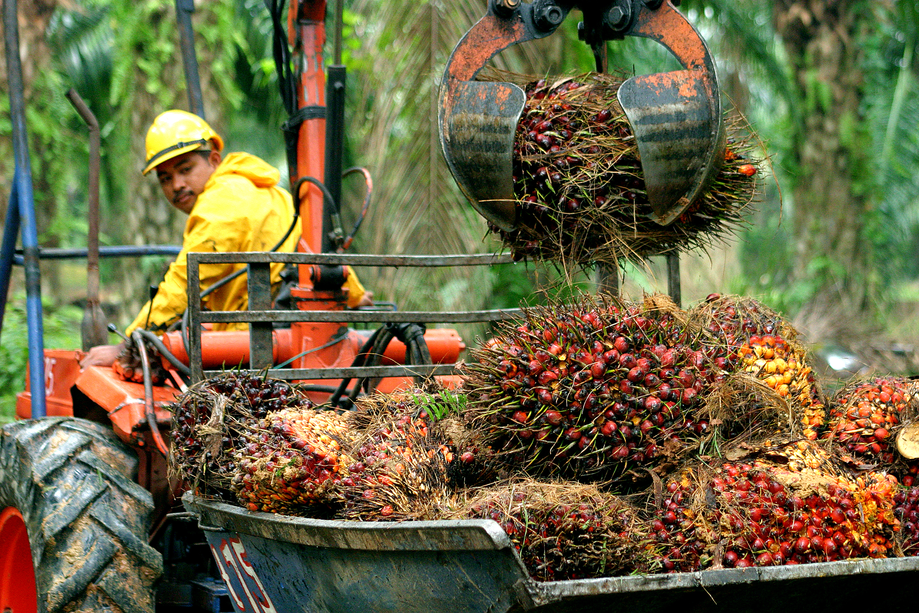 Sime Plantation to help boost Sarawak's palm oil industry ...