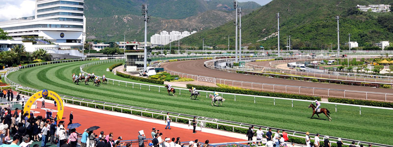 Hainan Horse Racing