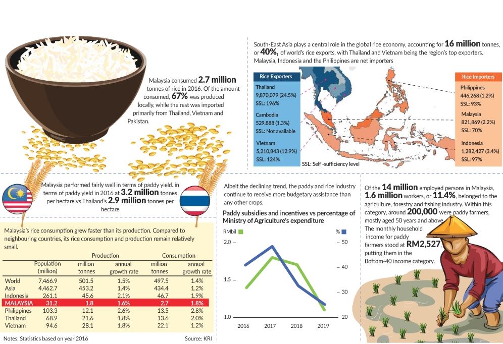 Where Does Malaysia S Paddy And Rice Industry Stand The Star