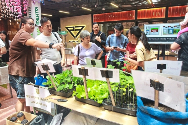 Visitors learning about package-free products such as bar and liquid soap, vegetables and fruits.