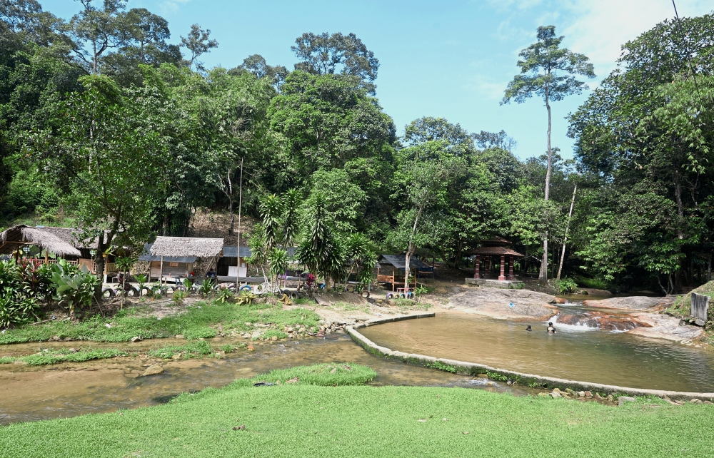 Taman rimba bukit lagong