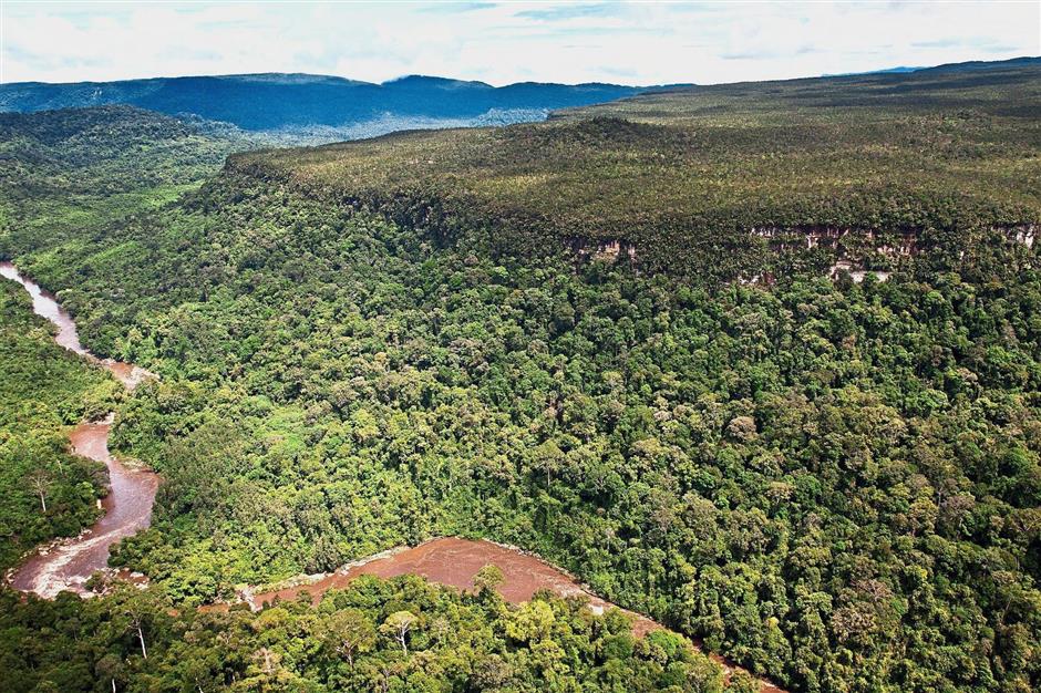 Lush forests are found in the Heart of Borneo. - ARIEF DESTIKA/WWF-Indonesia