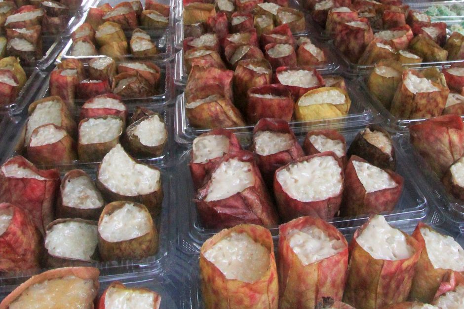 Fondness For Lemang One Reason Why Pitcher Plants Are Becoming Extinct Claims Mardi Researcher The Star