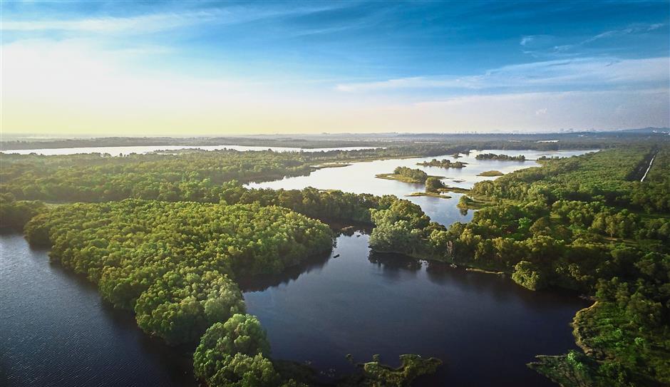 The wetlands adjacent to the site of Gamuda Cove.