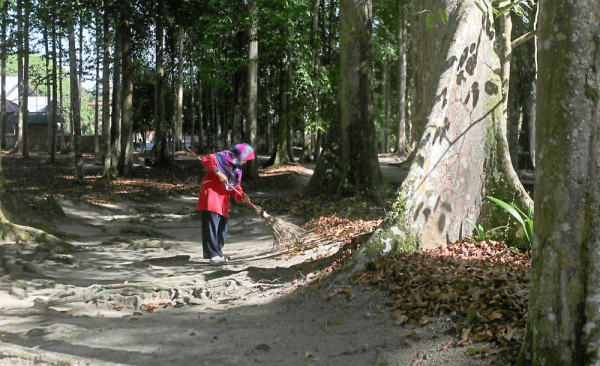 (Right) Park sweeper Insun Mat Zain, 63, clearing leaves from  a path and a lawn beside a stream (below) in the park.