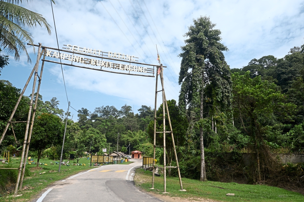 taman rimba bukit lagong