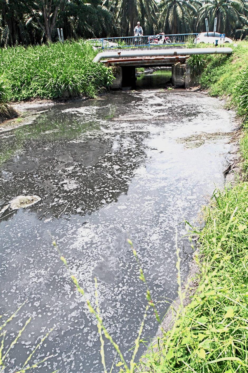 Reeling From Pong Of Pollution The Star