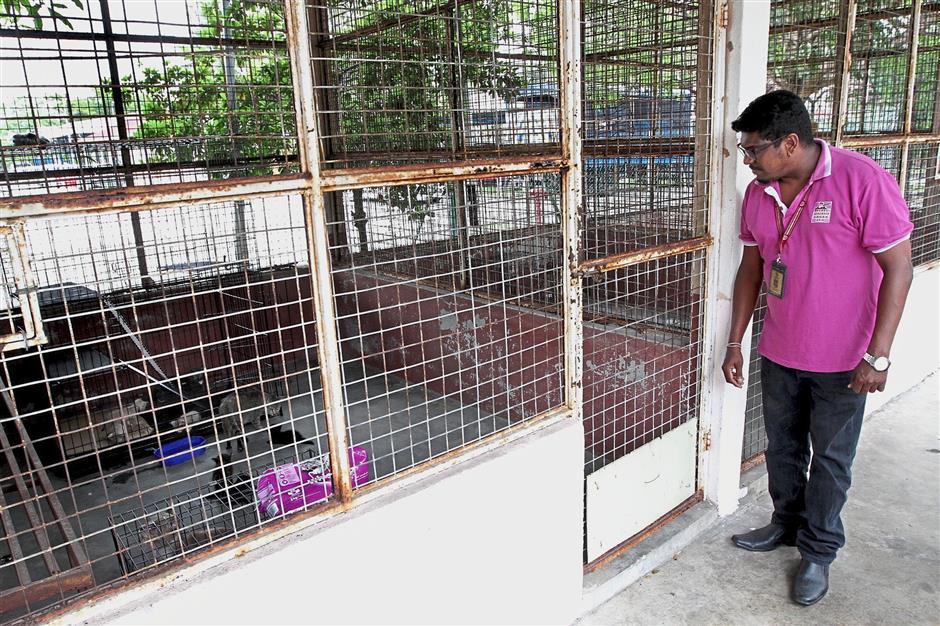 No shelter for unwanted pets The Star