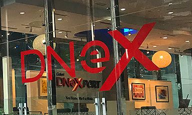 Dnex stock