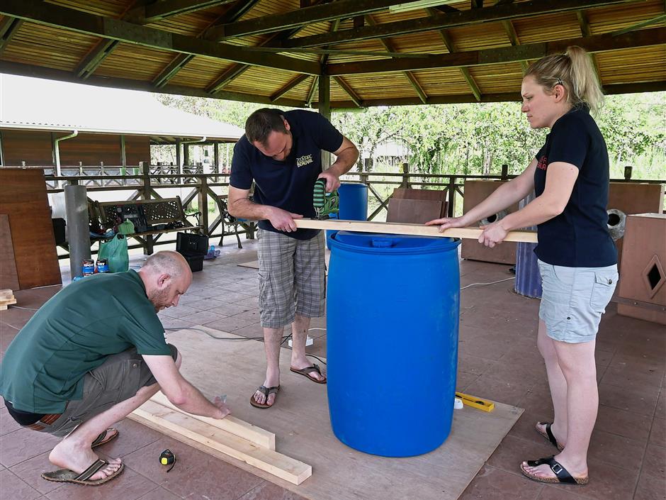(from left) Vercoe, Beauval Zoo’s birds head zoo keeper Remy Figueira and Pelletier measure wooden planks to line the inside of the artificial nest box.