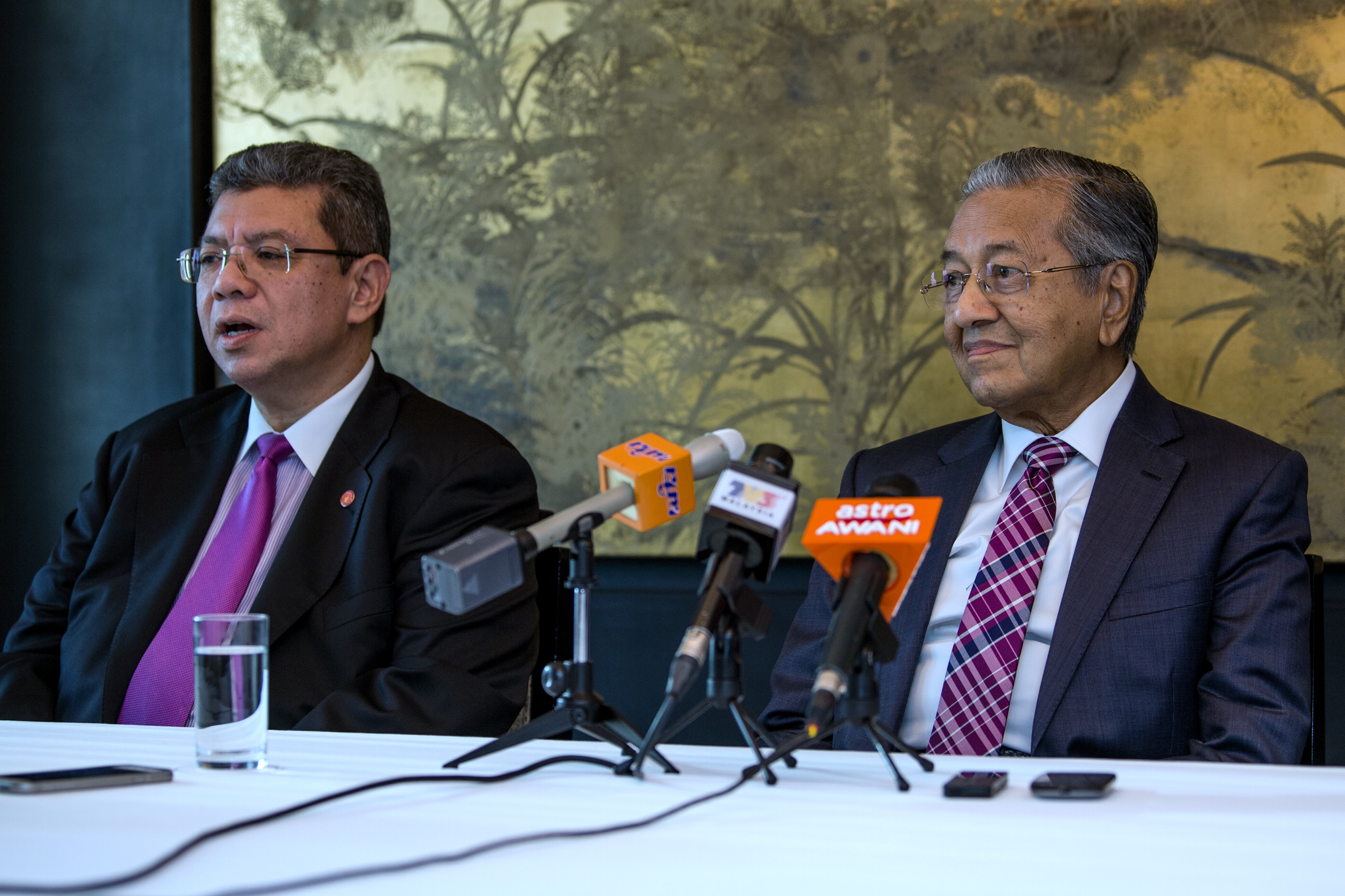 There Was No Pakatan Agreement On Dr M S Tenure Claims Saifuddin The Star