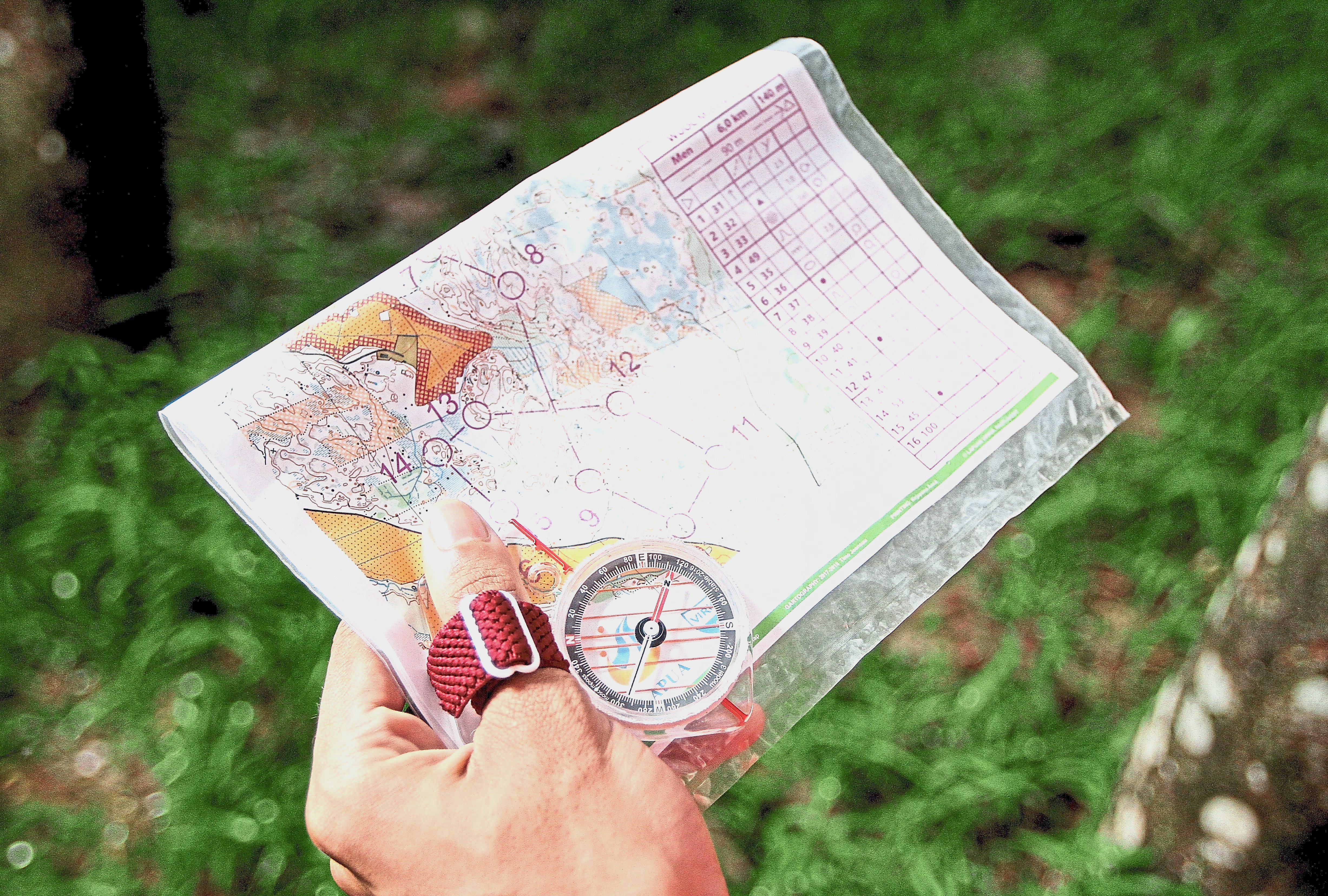 Orienteering finds its way here | The Star Online