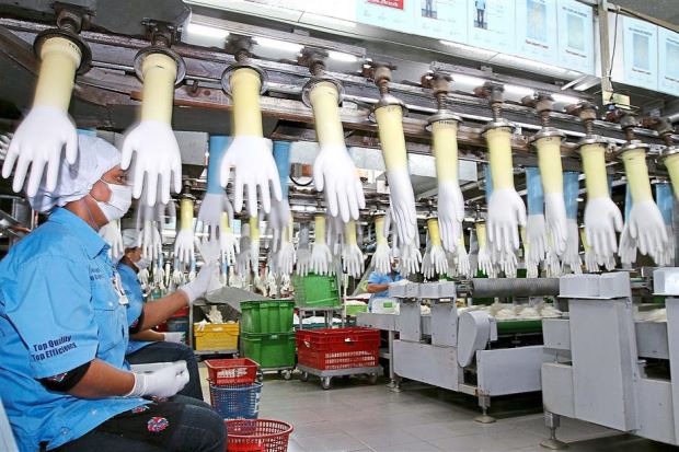 Rubber Glove Industry Urged To Further Tap Into African Market The Star