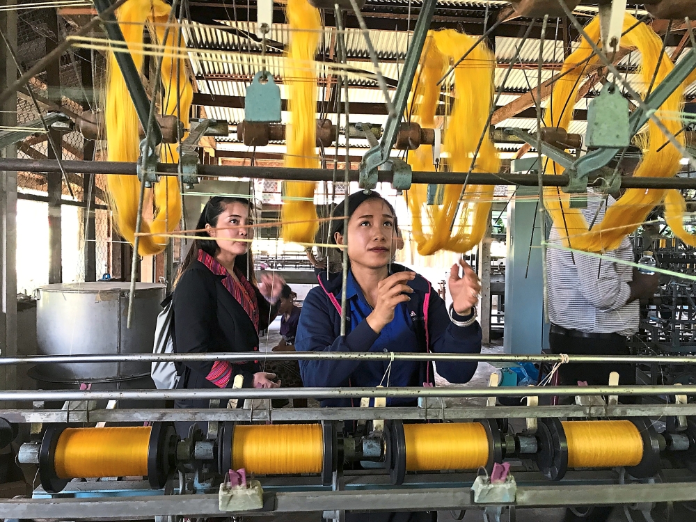 Farm staff working on natural gold silk threads which are worth more than the white silk threads.