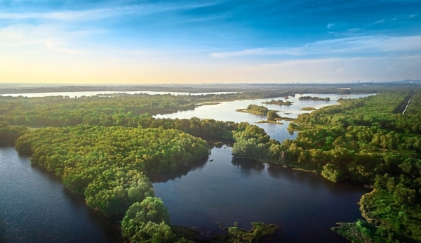 Aerial view of the Paya Indah Wetlands adjacent to Gamuda Cove. Gamuda Parks has ensured the protection of the endangered forest tree species Melicope lunu-akenda in Gamuda Cove.