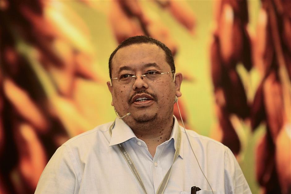 Is the government’s rice move the right one? | The Star
