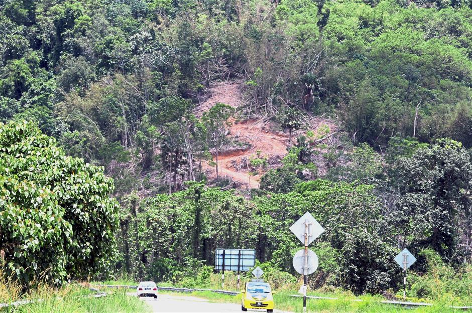 Save our forests: A logging trail (left) visible through cut forest near Kampung Kota Aur near Ulu Muda Dam in Sik, Kedah and ‘The Star’s’ article on April 13 of the same forest reserve.