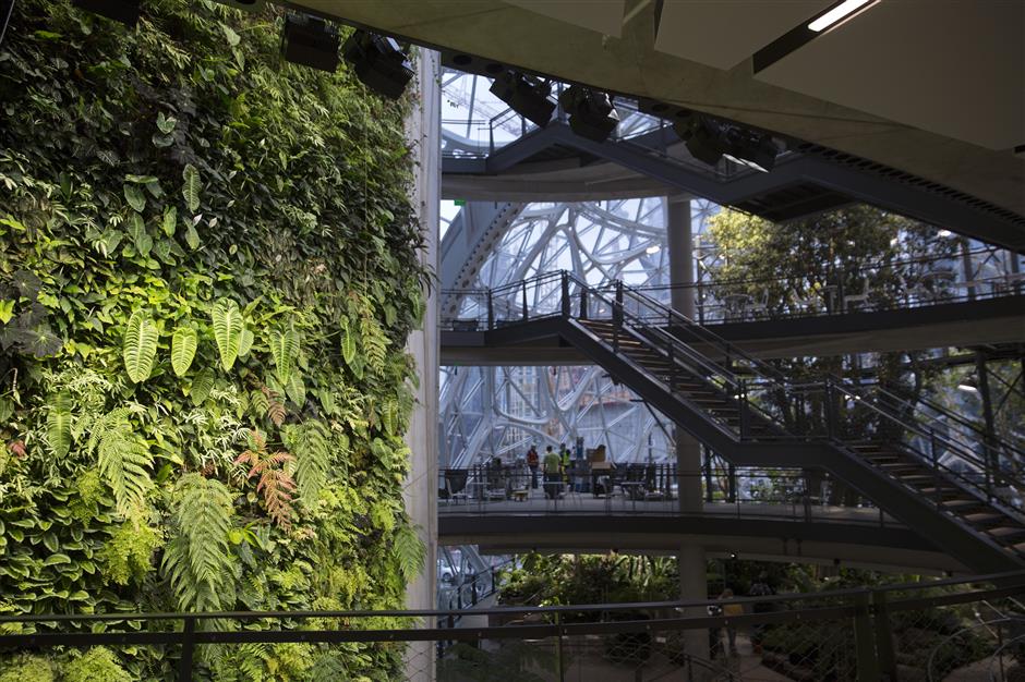 A staircase leads to four levels inside the Amazon.com Inc. Spheres in Seattle, Washington, U.S., on Tuesday, Jan. 23, 2018. The online retailer is scheduled to unveil the spheres Monday morning following seven years of planning and construction. The glass orbs have 40,000 plants from around the world. Photographer: Mike Kane/Bloomberg