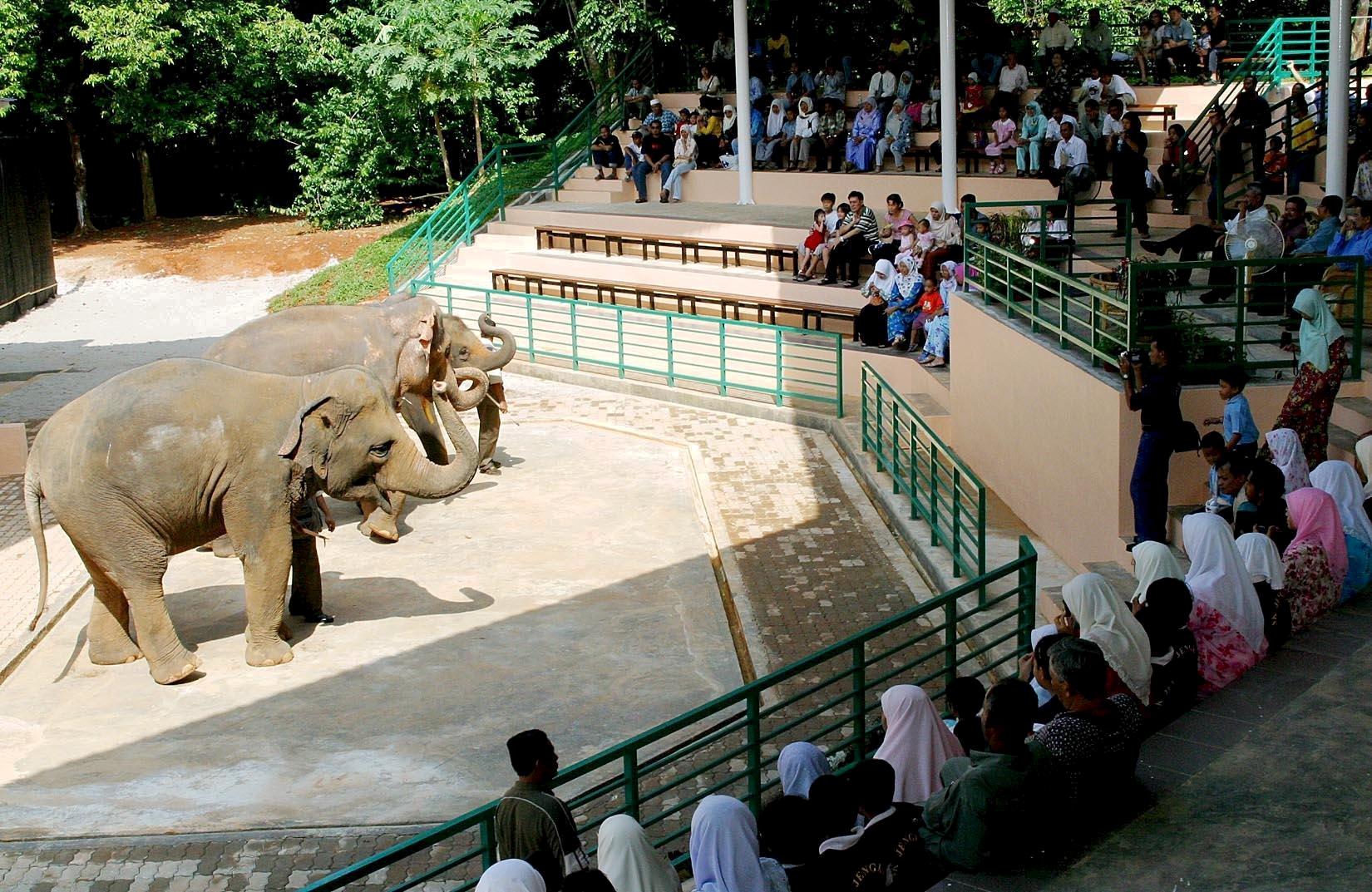 Melaka Zoo Returned To State Govt The Star