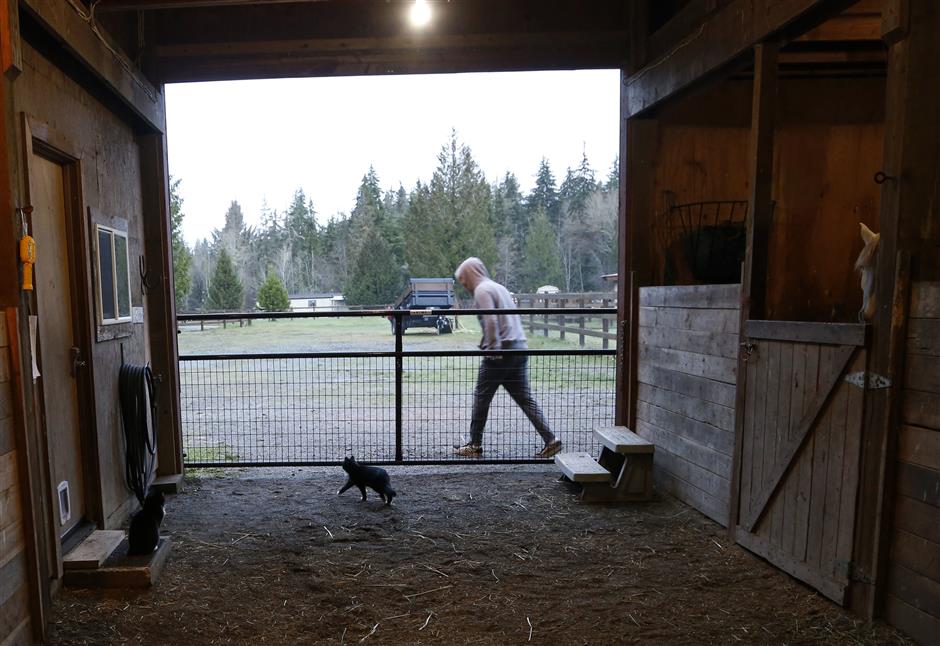 In this Monday, Dec. 10, 2018, photo, Robel, an 18-year-old tech addict from California, leaves a barn after helping feed animals at the Rise Up Ranch outside rural Carnation, Wash. The ranch is a starting point for clients like Robel who come to reSTART Life, a residential program for adolescents and adults who have serious issues with excessive tech use, including video games. The organization, which began about a decade ago, also is adding outpatient services due to high demand. (AP Photo/Martha Irvine)