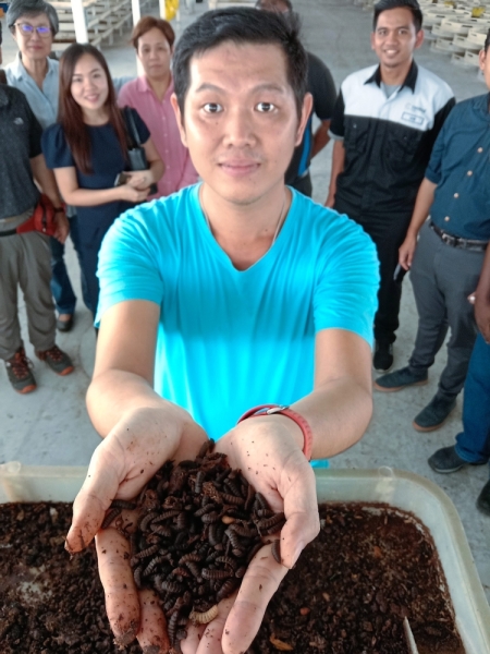 Neo with 15-day-old larvae fed on food waste. He says the facility needs 3.5tonnes daily to feed about 1.4 million black soldier flies.