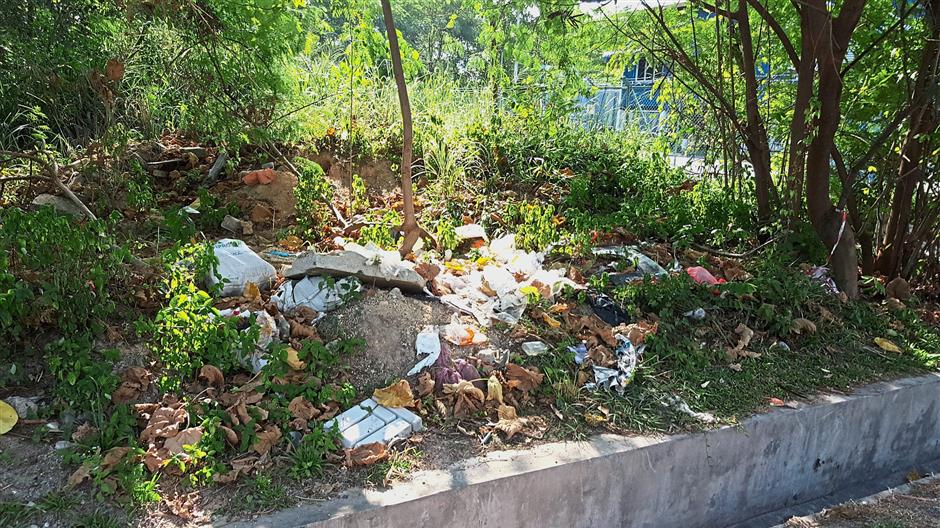 Residents Up In Arms Over Indiscriminate Dumping The Star