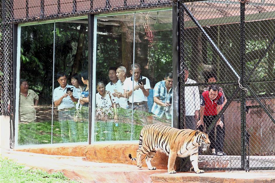 Taiping Zoo Tickets Now Cheaper With 0 Gst The Star