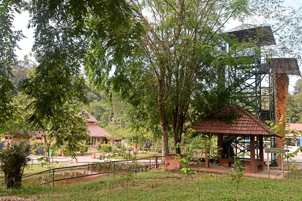 taman rimba bukit lagong