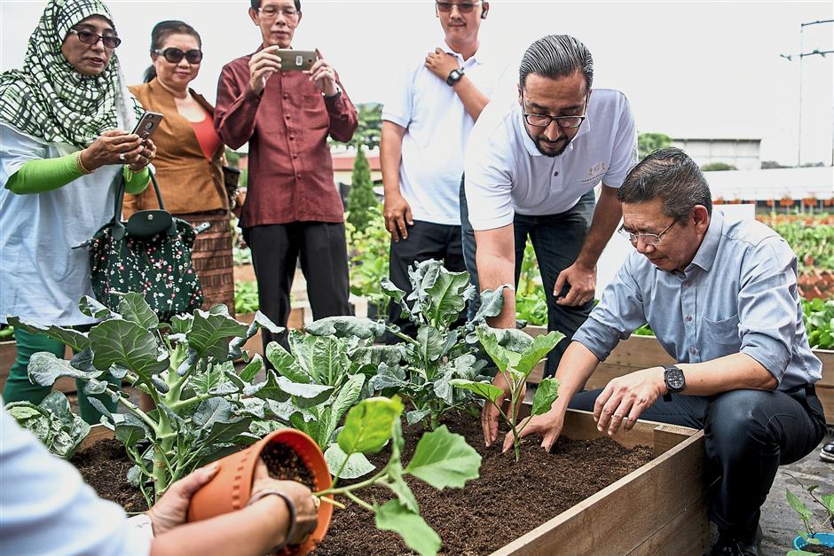 Down to earth: Salahuddin surveying the Hawa Plantation Vegetable Garden in Sungai Buloh.