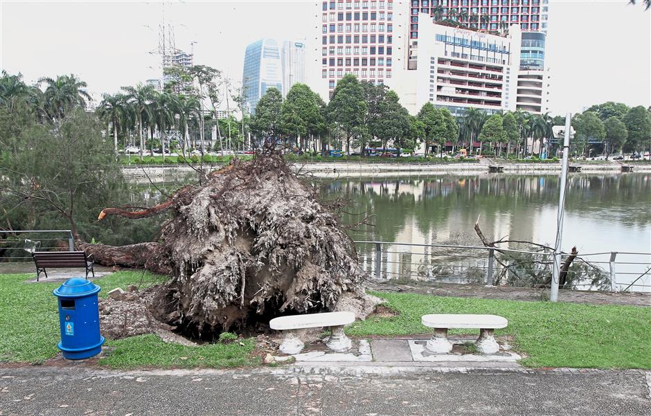 Storm Wreaks Havoc In Taman Jaya Pj The Star