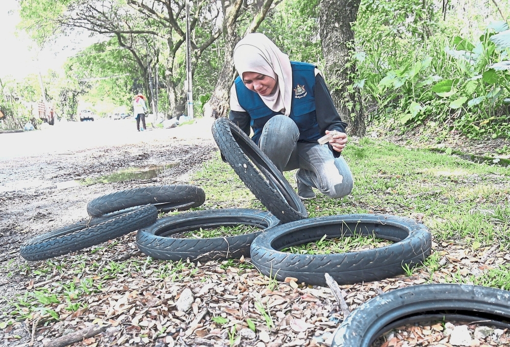 Discarded motorbike tyres are prime breeding areas for mosquitoes.